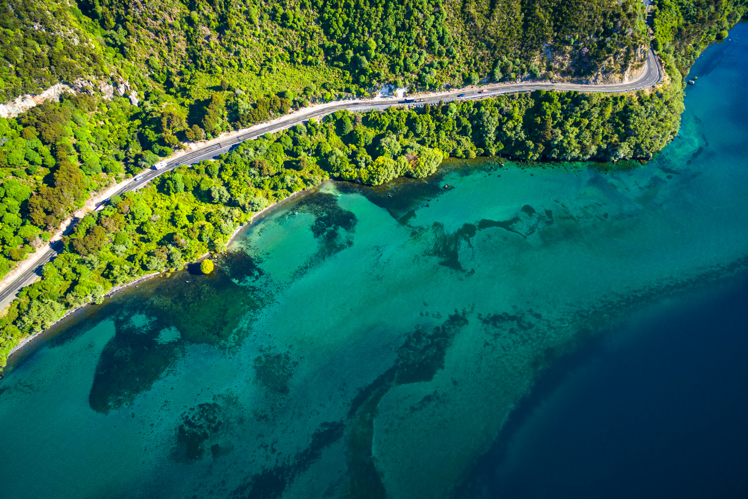 taupo (2).webp